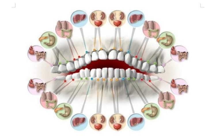 Dentosofia
